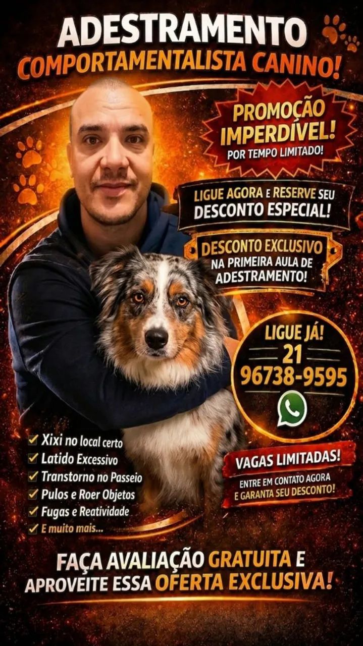 Adestramento Canino  - Foto 2