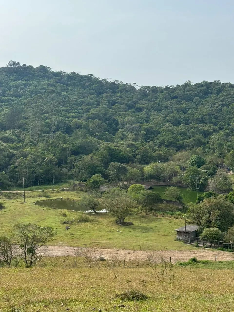 Chácara em Condomínio Recanto da Pedra - São José/SC - Foto 3