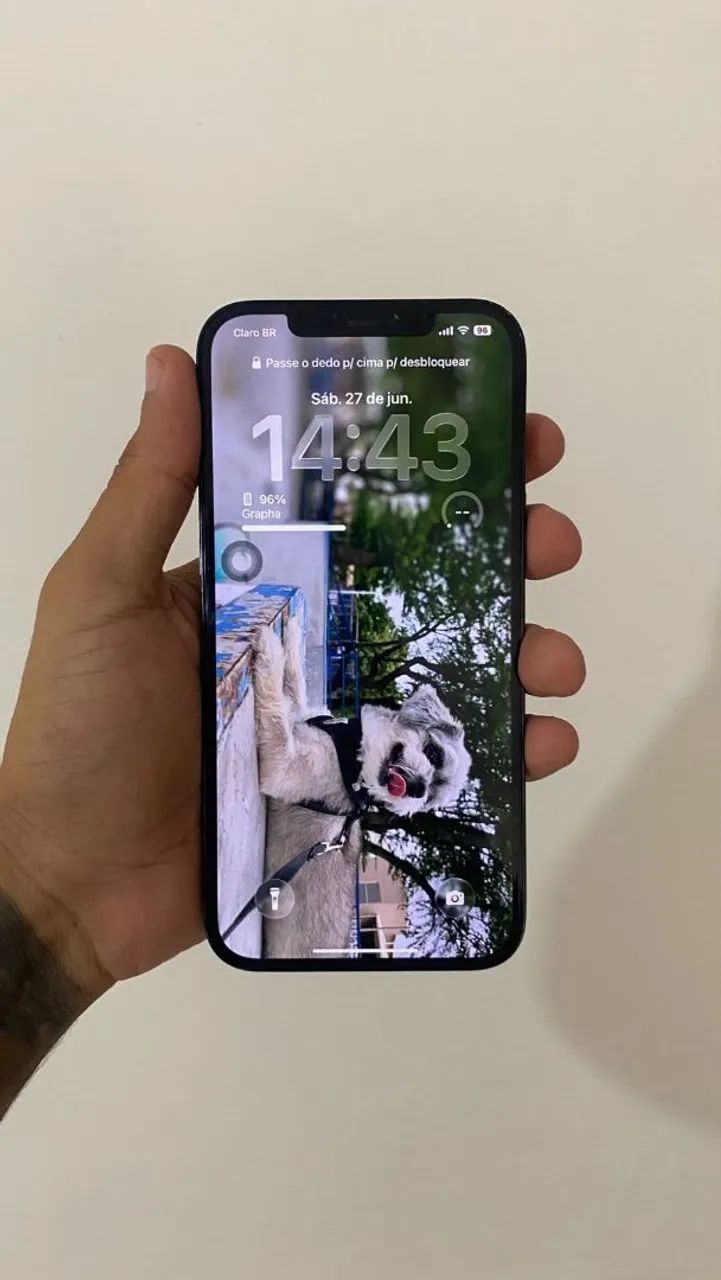 iPhone 12 Pro Max 256GB - Foto 2