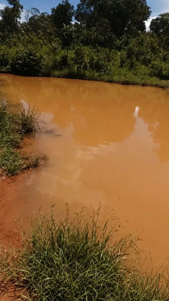 Chácara a venda, 16km de Taquaruçu, 6 alqueires  - Foto 4