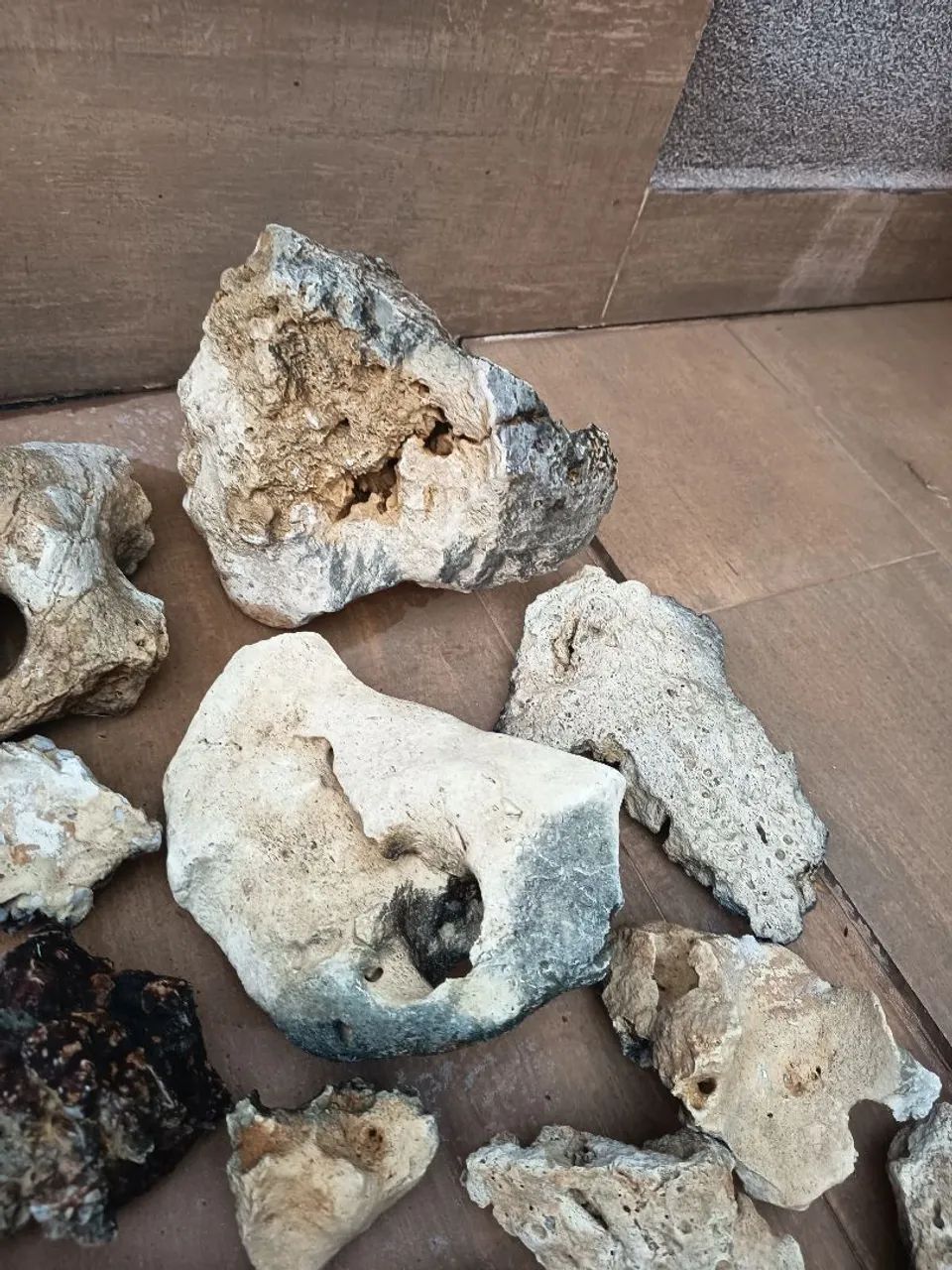 Rochas Sansibar aquário  - Foto 6