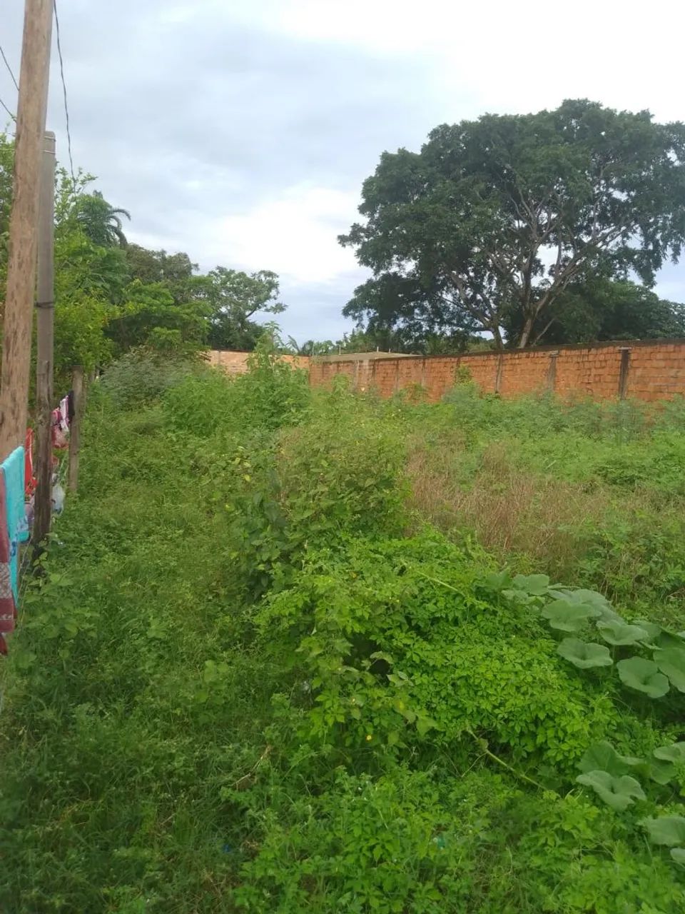 Casa à venda em Soure - Foto 3