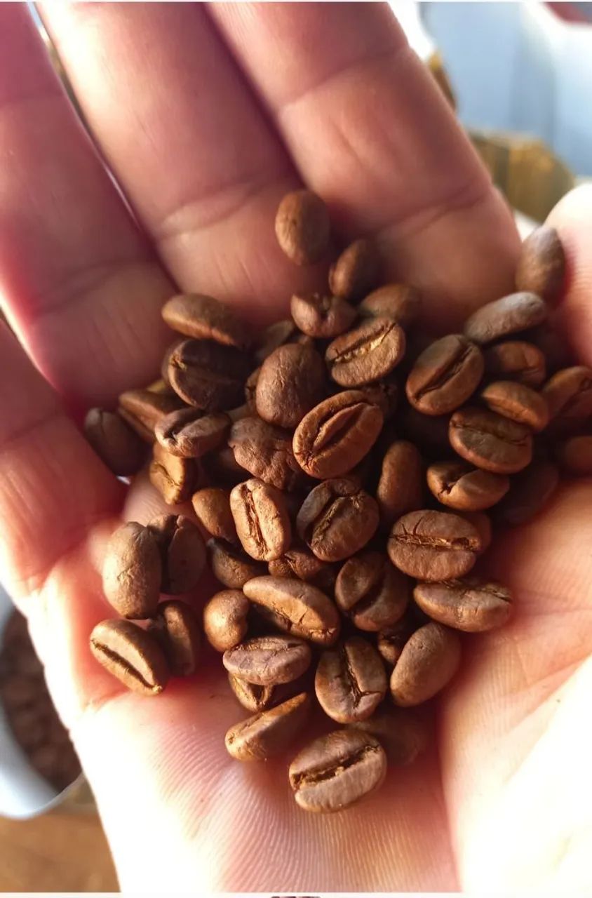 Café expresso 100 % arábica 