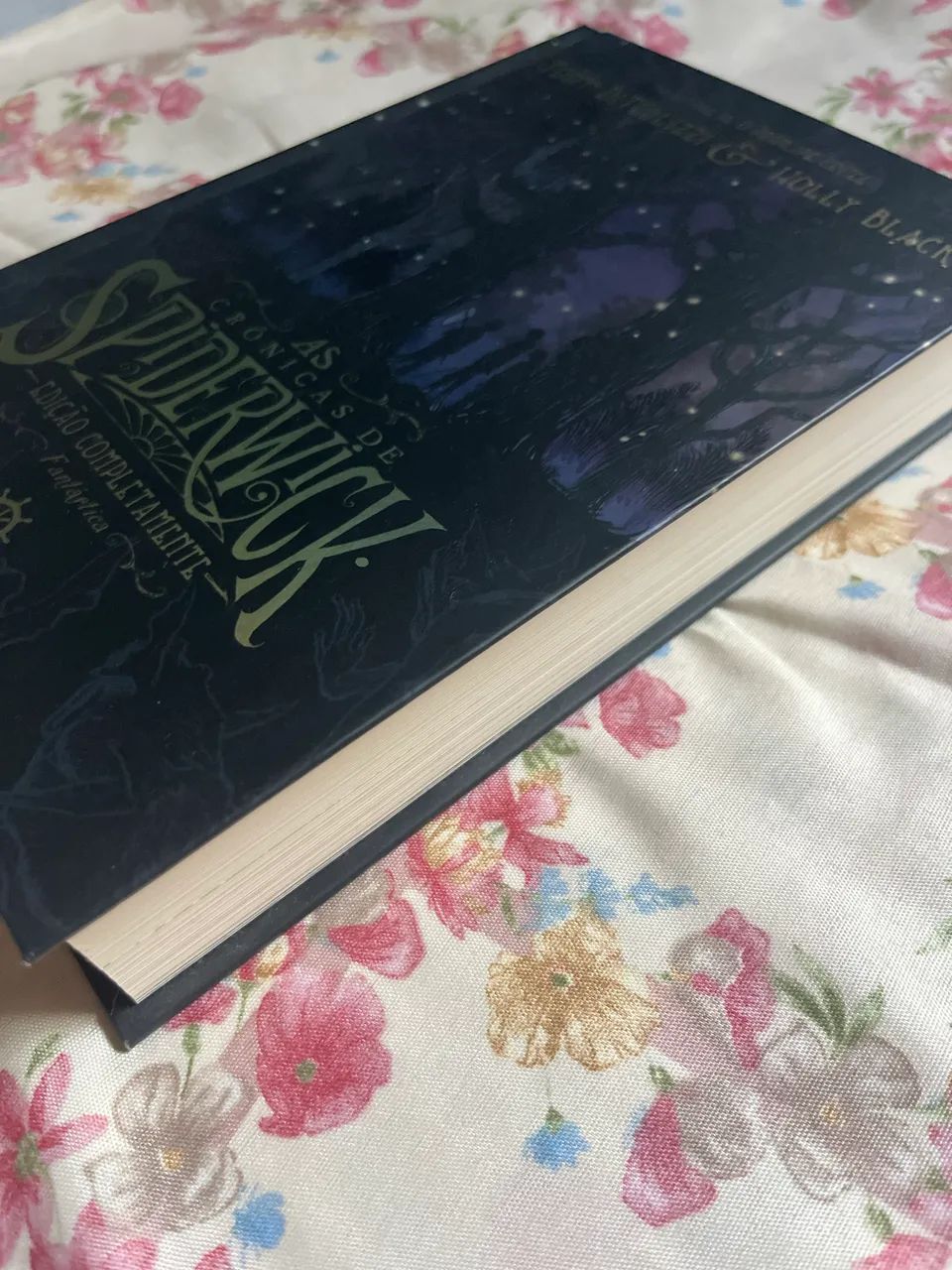 Livro Crônicas de SpiderWick  - Foto 2