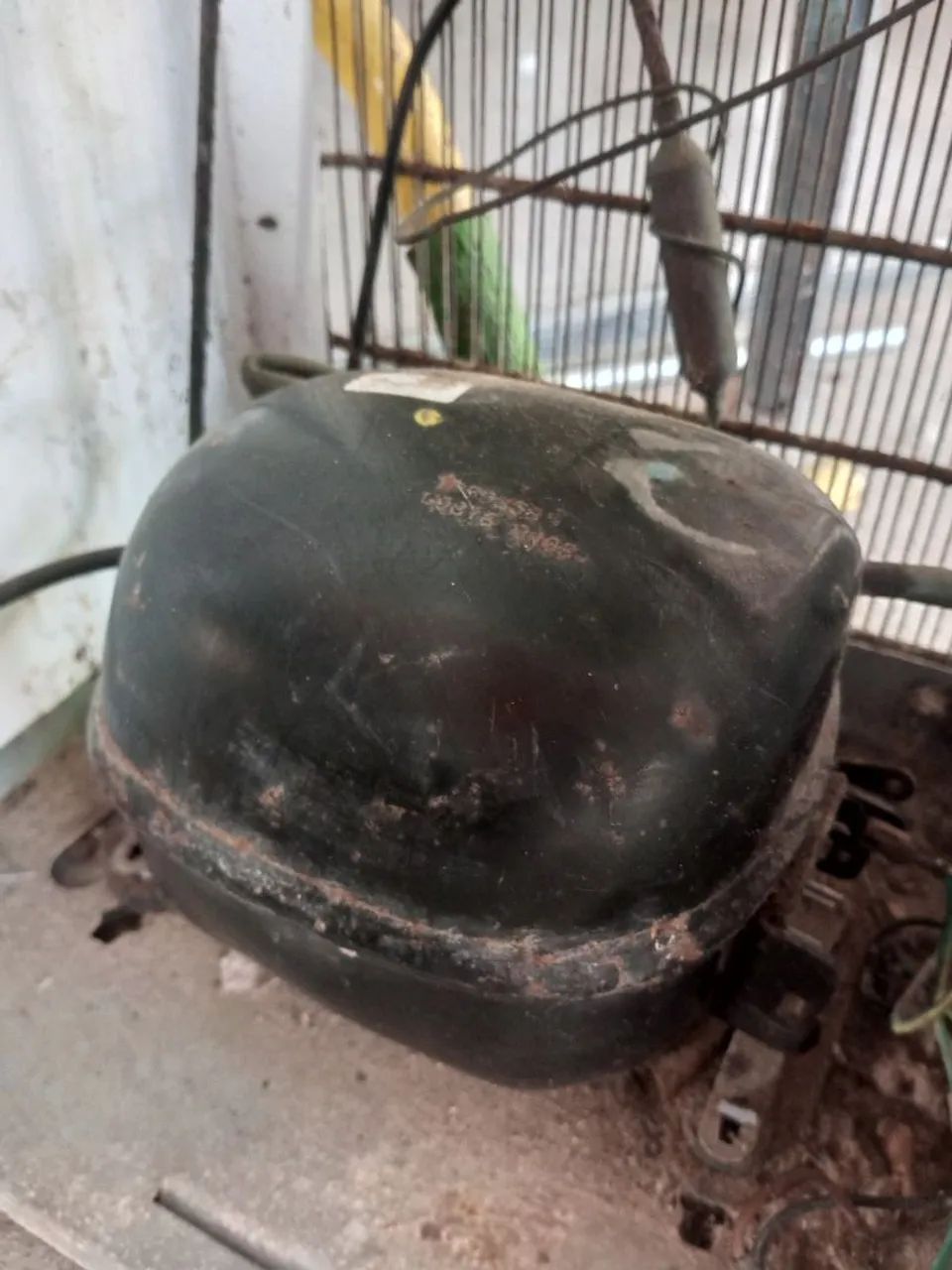 Motor de bebedouro 