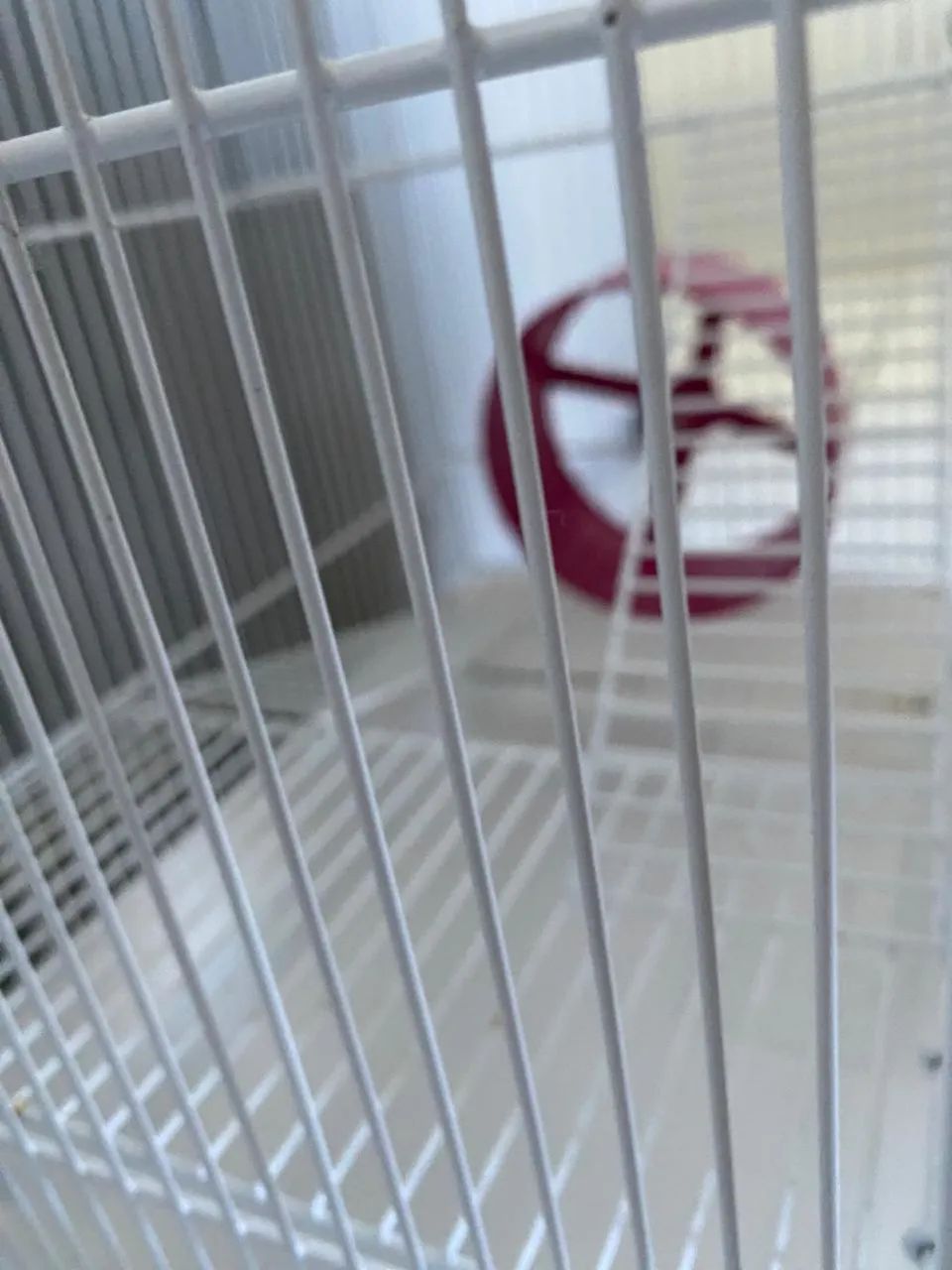 Gaiola para Hamster - Foto 2