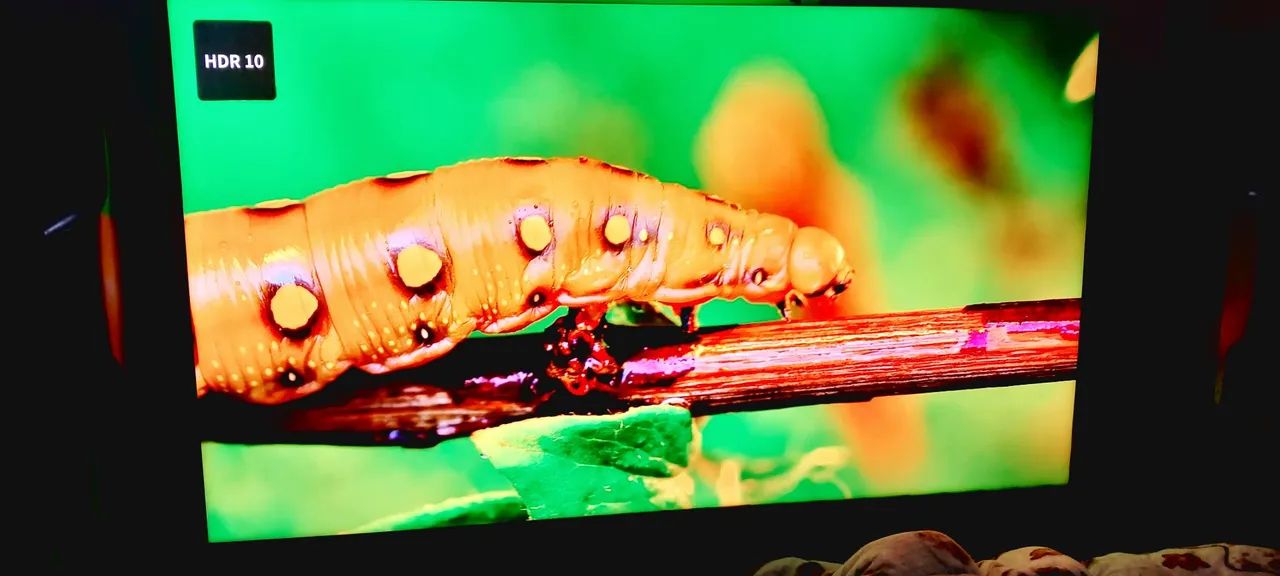 Tv 65" TCL 4k  C7K - Foto 2