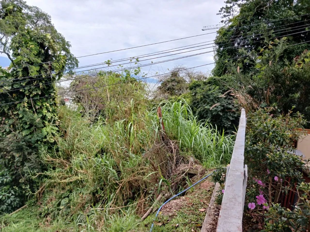 Terreno com 1.153m² no bairro Centro - Foto 2