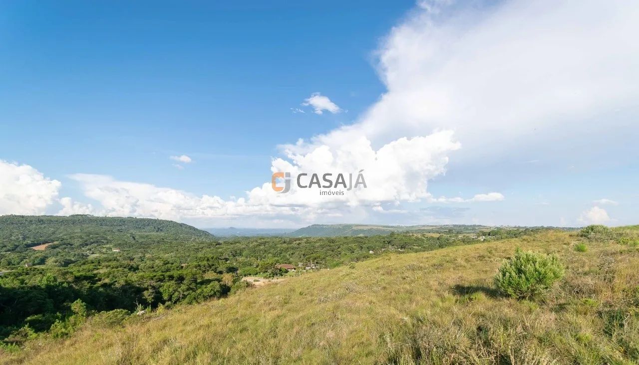 TERRENO RURAL em BALSA NOVA - PR, Balsa Nova - Foto 5