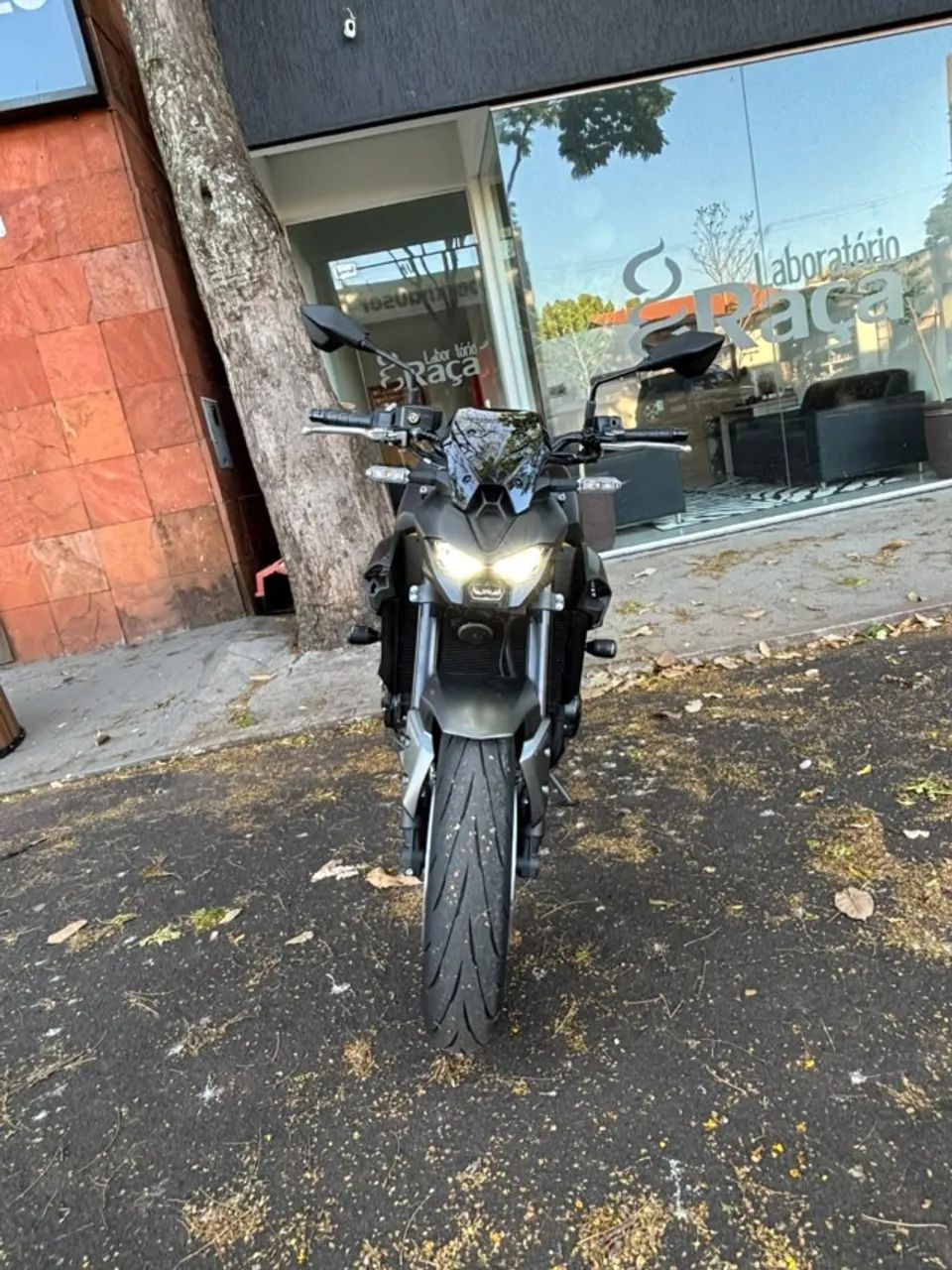 Z 900 - 2026 - Foto 5