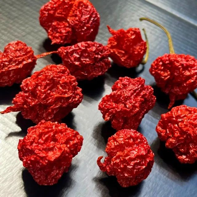 Molho de Pimenta Carolina Reaper 100ml - Foto 2