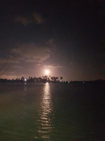 Ilha paradiasiaca na lagoa 100% escriturada e registrada - Foto 8