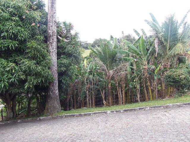 Fazenda com Aproximadamente 180 Hectares (Cód.: 838bdf) - Foto 6