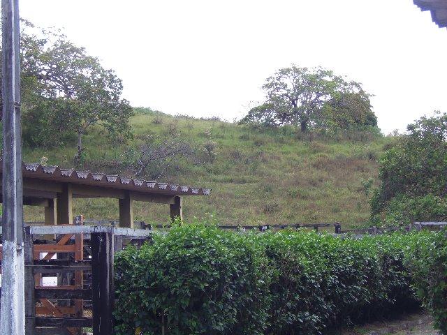 Fazenda com Aproximadamente 180 Hectares (Cód.: 838bdf) - Foto 10