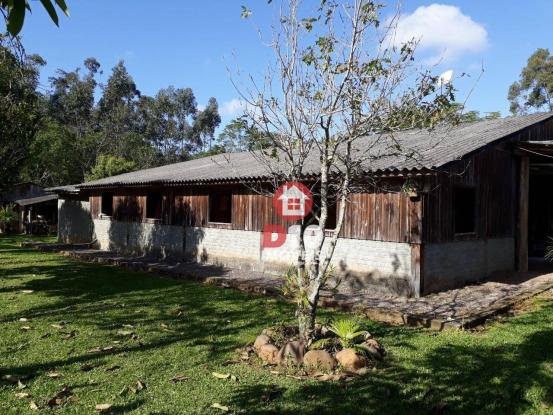 Chácara com 4 dormitórios à venda, 36000 m² por R$ 500.000 - Vila Santa Catarina - São Joã - Foto 17