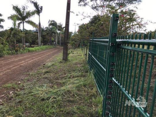 Linda chácara entre marialva e sarandi r$ 380.000 - chácara - marialva/pr - Foto 7