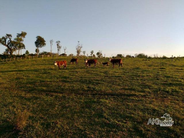 Fazenda à venda, 2699994 m² por r$ 6.500.000 - rural - reserva do iguaçu/pr - Foto 3