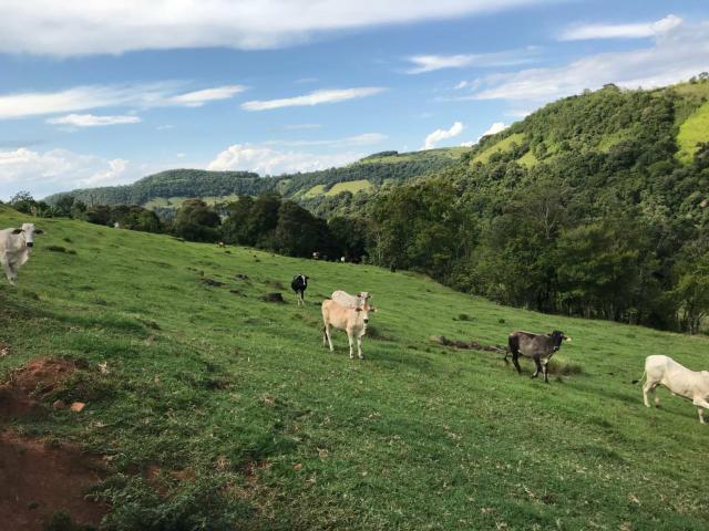 Área Rural - Foto 6