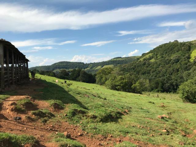 Área Rural - Foto 12