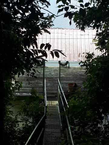 Chácara no rio paranaíba - Foto 5
