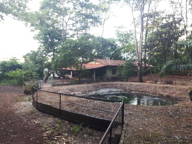 Chácara no rio paranaíba - Foto 4