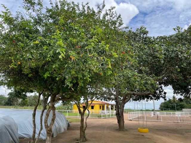 Vendo Fazendinha em São Gonçalo dos Campos 