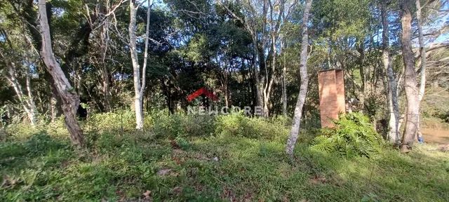 Chácara em   Ipê - Centro - Ipê/RS - Foto 5