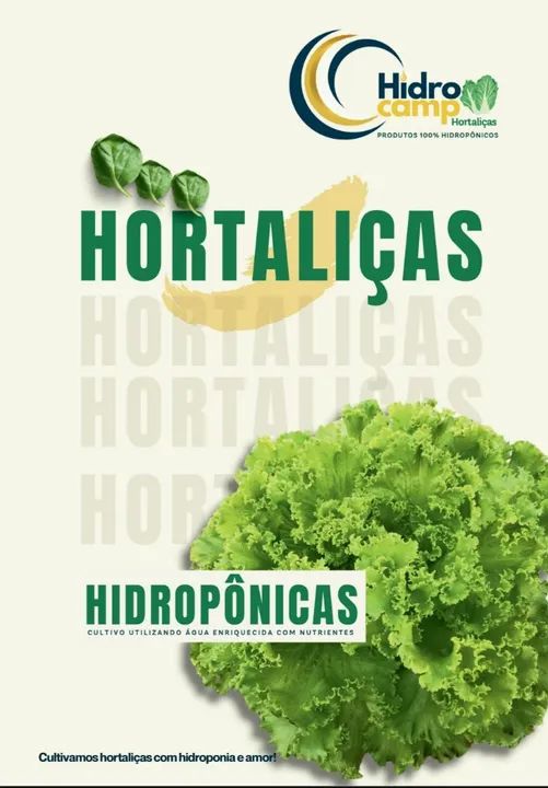 Alface Crespa - Fresca e Deliciosa - Foto 4