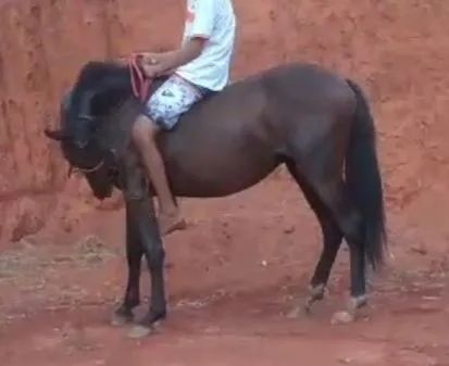 3,500 IMPERADOR MM/MP - Foto 3