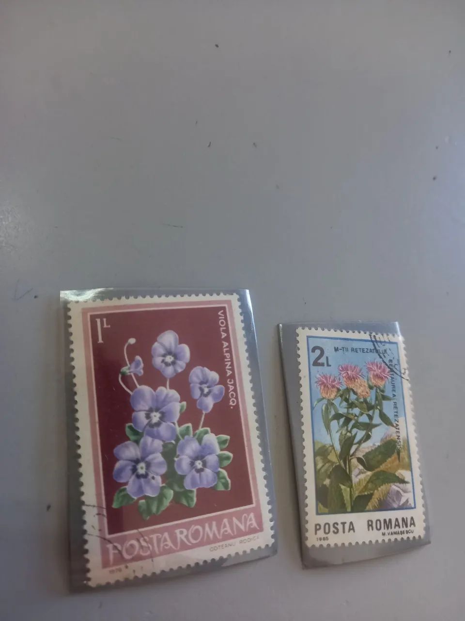 Stamp Collection463709894754314242