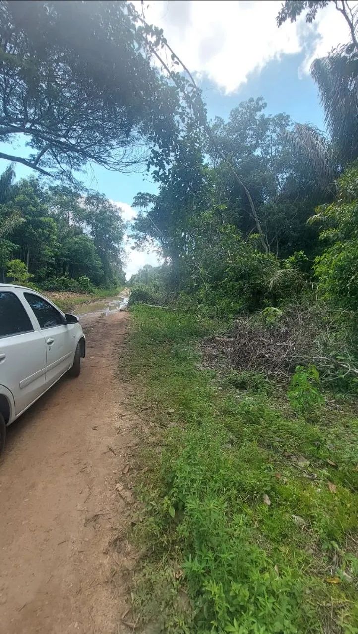 Dois Lotes de terras a 2 km da Praia do Açutuba - Foto 3