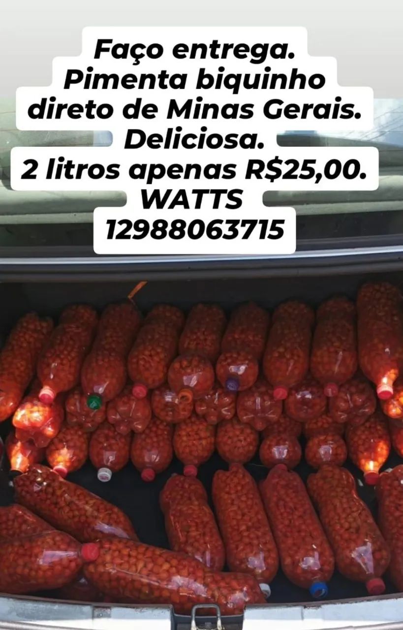 Pimenta biquinho 