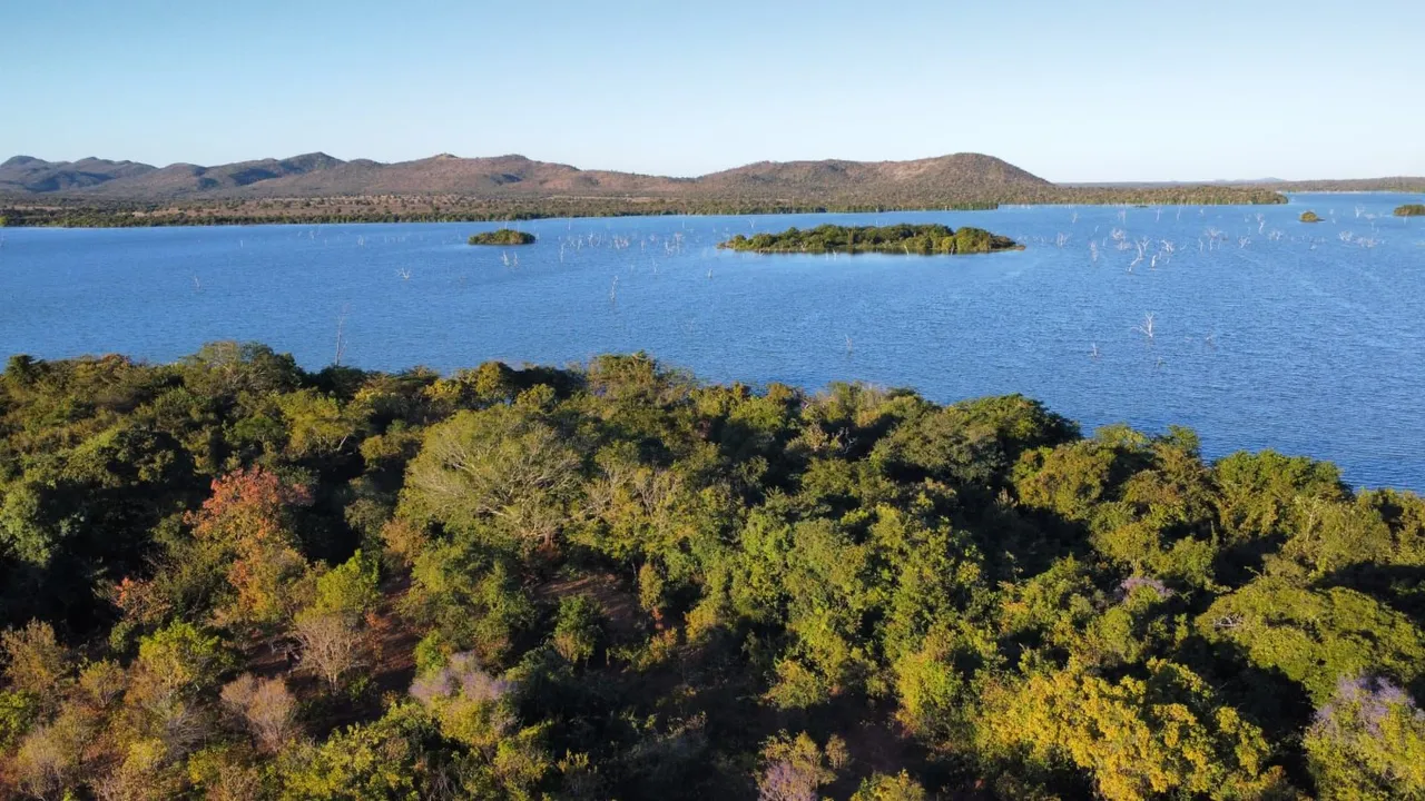 FAZENDA 430 ALQUEIRES 5KM MARGEM LAGO DO PEIXE