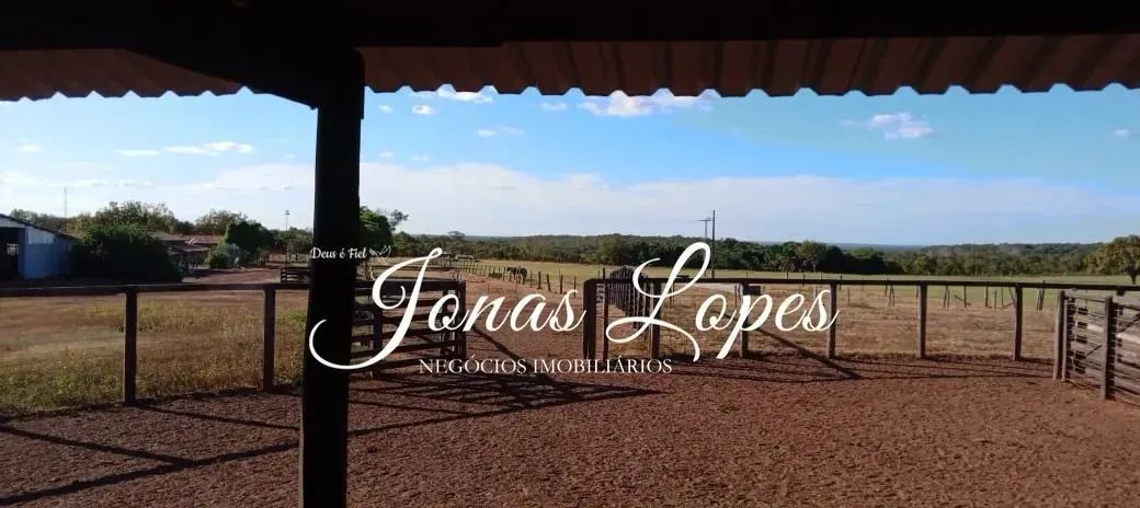 Fazenda 554 Hectares Pedro Afonso Tocantins - Permuta Fazenda Paraná - Foto 4