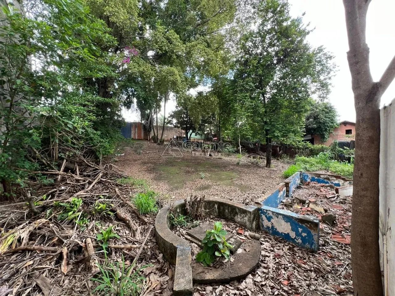 terreno - Chácara Boa Vista - Campinas - Foto 9