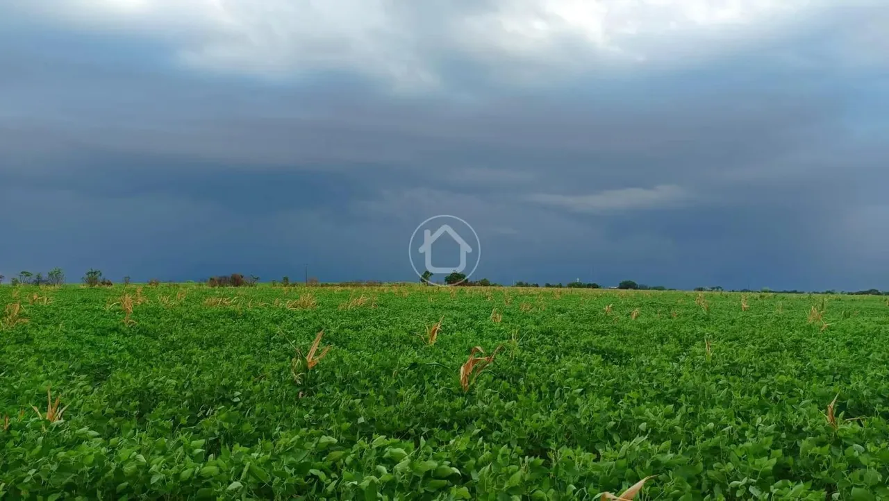 TERRA DE PRIMEIRA JA PRODUZINDO