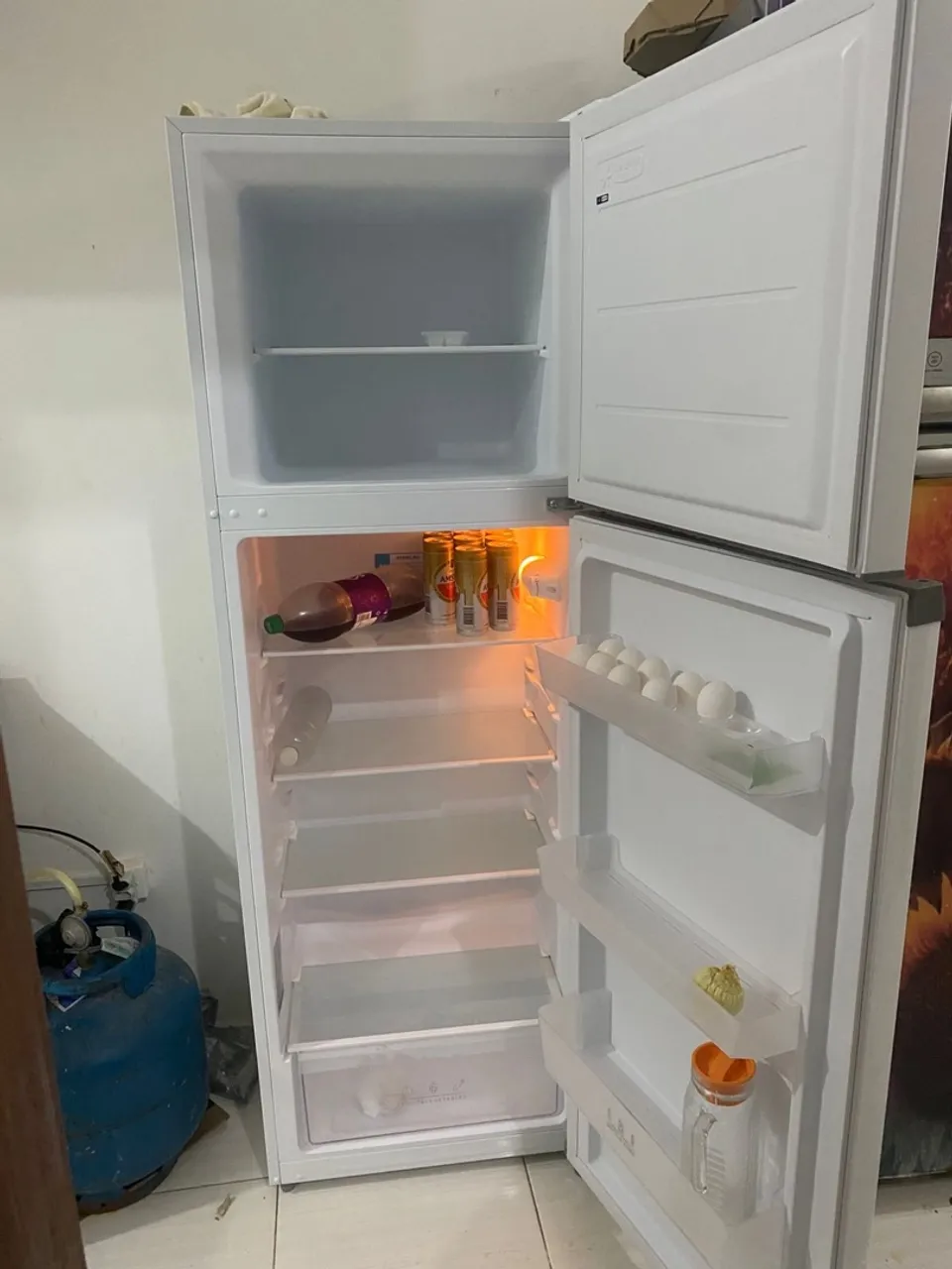 Geladeira Frost Free com Bom Espaço Interno