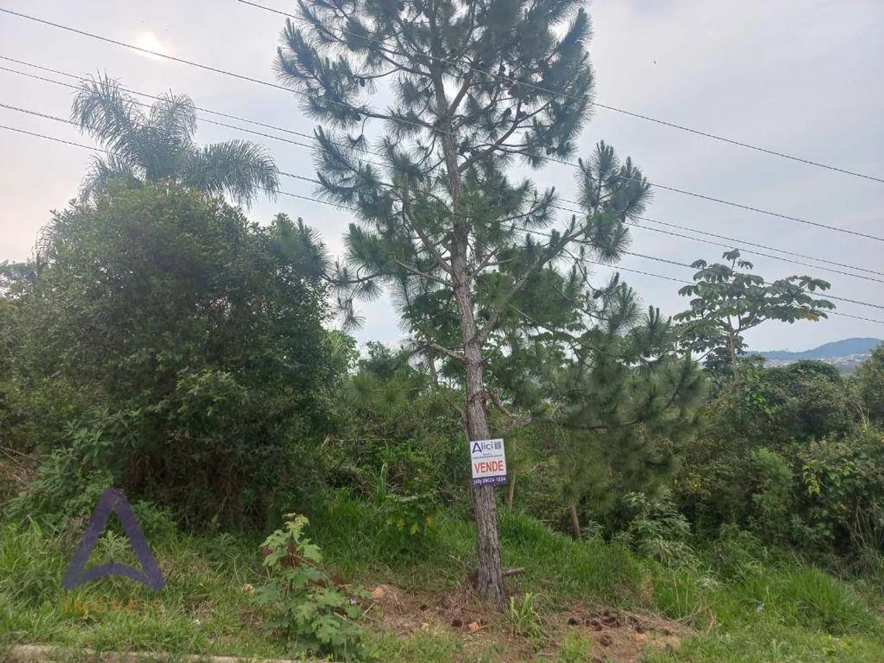 Terreno à venda, 444 m² por R$ 500.000,00 - Ribeirão da Ilha - Florianópolis/SC - Foto 2