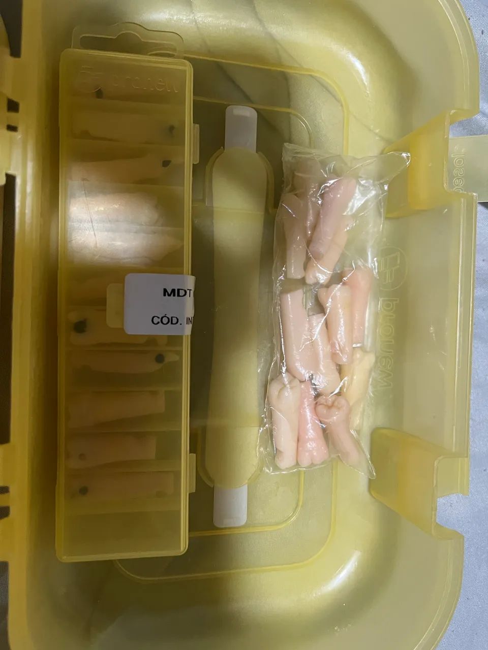 Manequim odontológico 