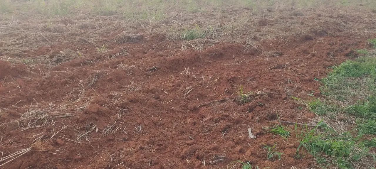 Chácrinha região Hidrolândia $28.900 - Foto 11