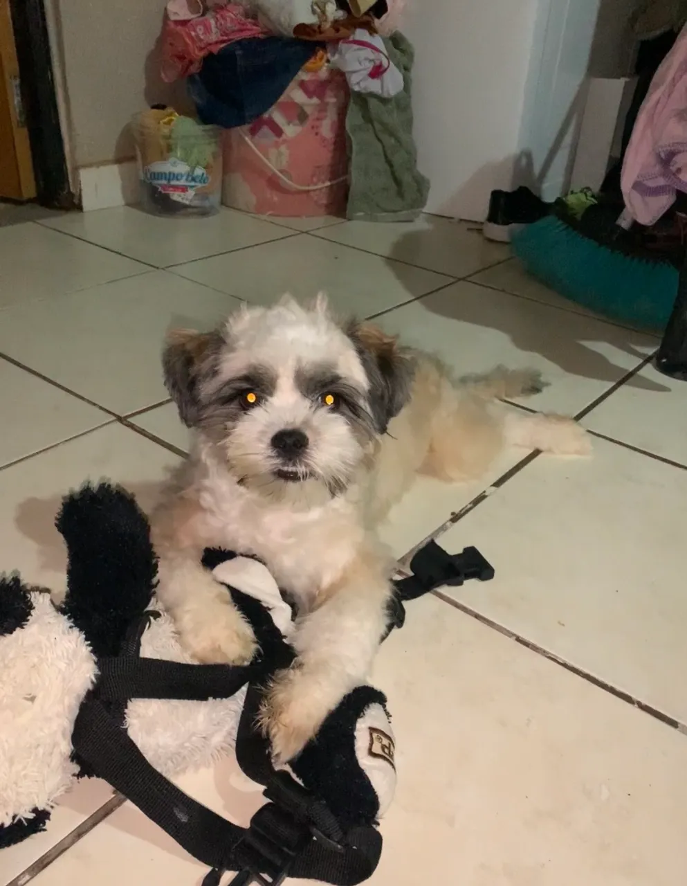 Procura-se uma namoradinha