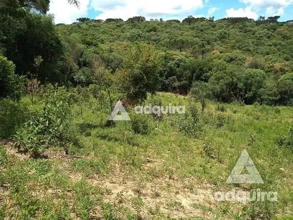 Chácara à venda 17545M², Centro, Palmeira - PR - Foto 4
