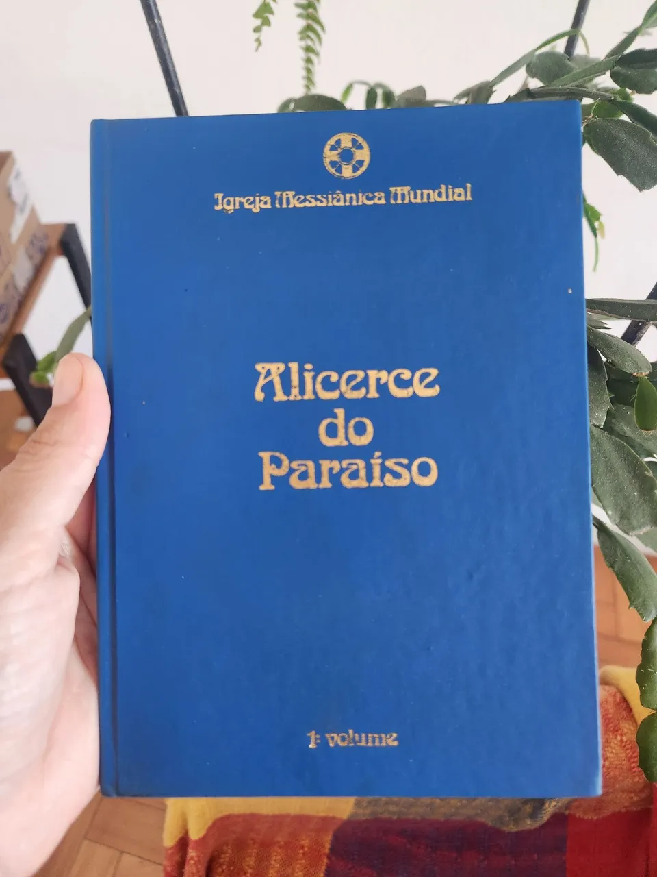 Livro Alicerce do Paraíso - 1º Volume