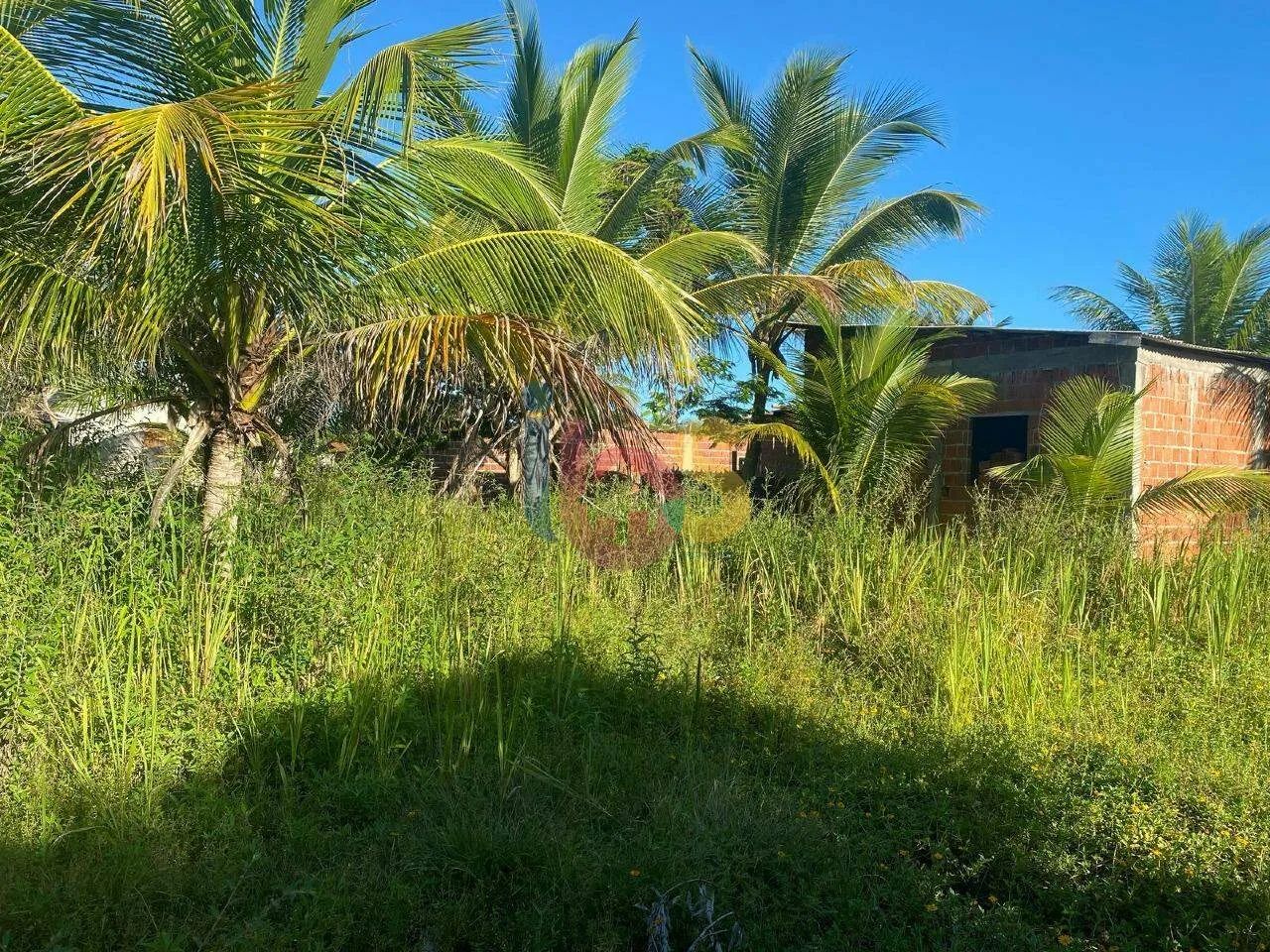 Vendo Lote na Zona Norte de Ilhéus - Foto 5