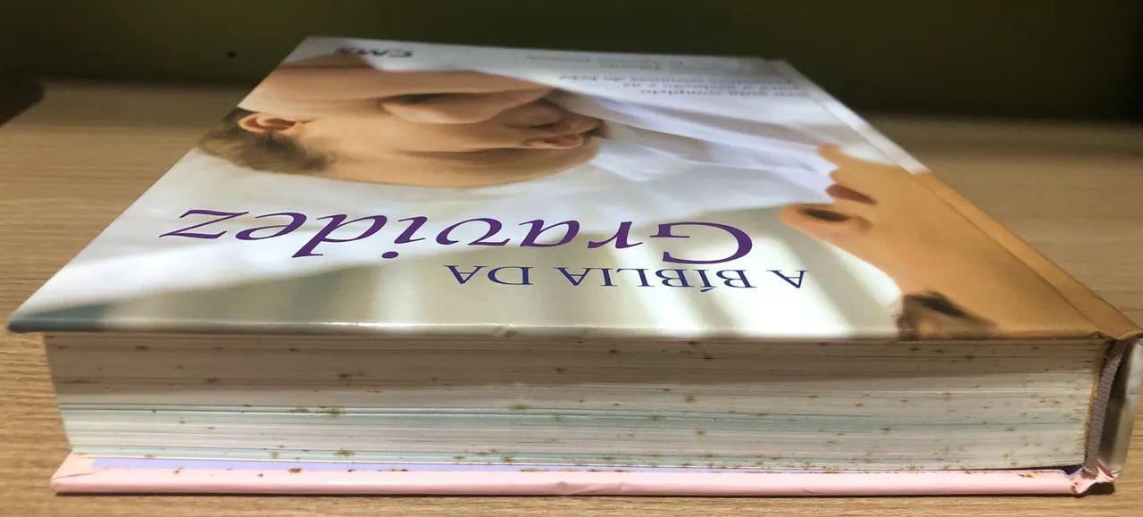 Livro a Bíblia da gravidez - Foto 5