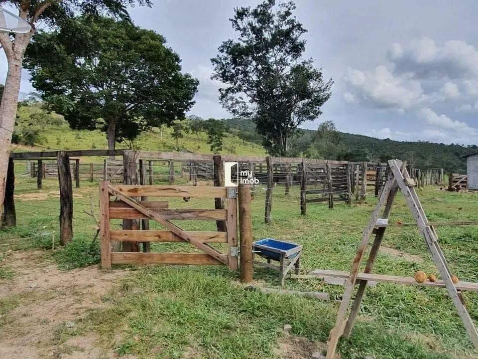 Fazenda Escriturada em Cocalzinho/GO 54 Alqueires - Foto 2