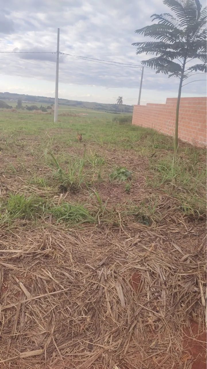 Terrenos disponíveis 