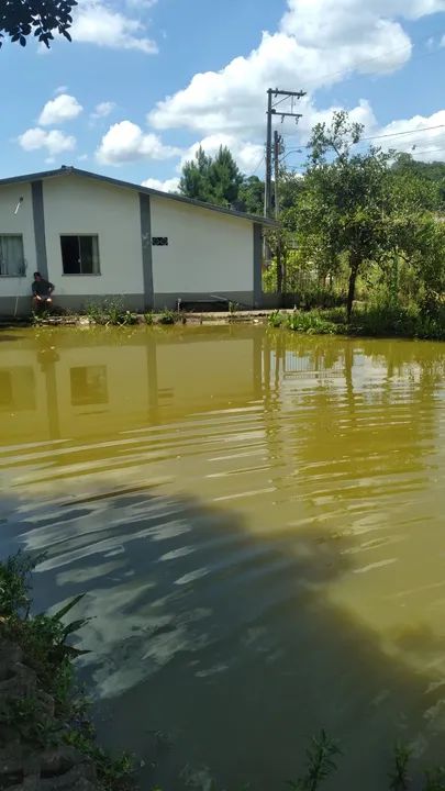 Chácara em Sjp depois do caminho do vinho  , Aceita carro  - Foto 3