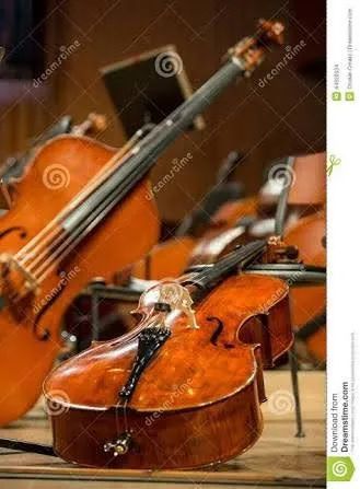 Lutheria de violino, viola e violoncelo, e aulas de música várias categorias instrumentais - Foto 3