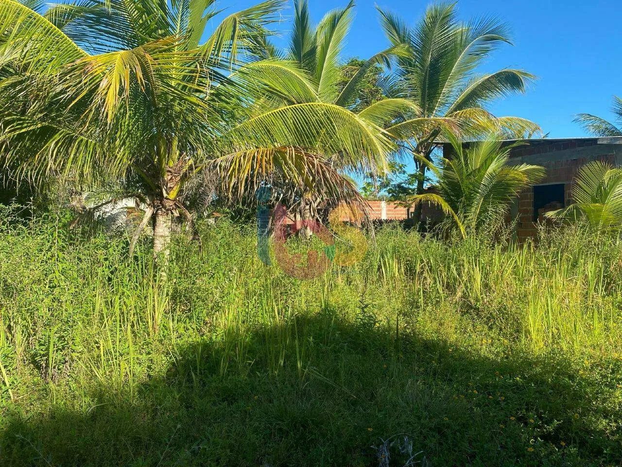 Vendo Lote na Zona Norte de Ilhéus - Foto 2